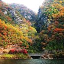 서11-405 Daum카페