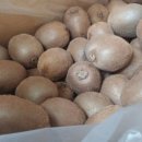 승리농장2 이미지