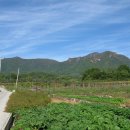 고제입구삼거리 이미지