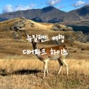 하이츠파크 | 뉴질랜드 여행 퀸스타운 가볼 만한 곳 디어파크 하이츠 예약 방법, 이용후기