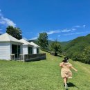 영남목장 | 강원도 태백 가볼만한곳 산양 목장 몽토랑 뷰카페