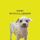 우주메디 이미지