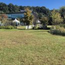 음악이흐르는숲 이미지