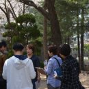 씨네샤르망3 이미지