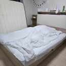 협진중기 | 26주차 임산부 맹장수술 후기!! *긴 글 주의*