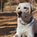 푼타하우스 이미지