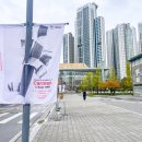 제23회 대구 국제무용제 | 제22회 대구국제오페라축제 공연일정 및 카르멘 공연 후기
