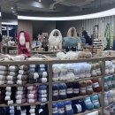 하우스(HAUS) 이미지