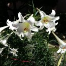 쉼터약국 이미지