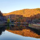 산인어탕칼국수 | 산인어탕칼국수 마산 산인면 맛집 진한어탕국수랑 갈비탕까지 든든한 밥집