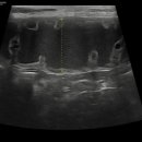 24시 모란동물 메디컬센터 이미지