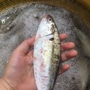 원금농장 이미지