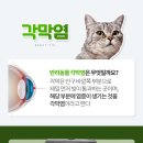 서현동물병원 이미지