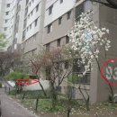 신서보건소 이미지