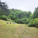 충남조경 네이버블로그