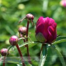 도동종합정비 이미지