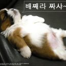 어라