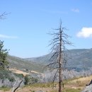 오늘머린 이미지