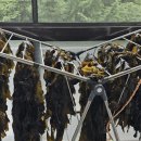 입파민박 이미지