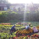 봉강햇살촌마을 이미지