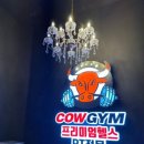 헬스카우 이미지