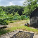 연희농장 이미지