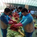 파동주민센터 이미지