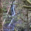 엘와이지 이미지