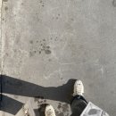 (주)알찬미트