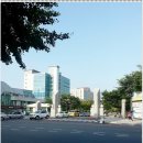 조방낙지 이미지