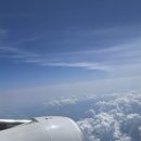 (주)조이클 | 혼자 떠난 오사카 여행기(조이패스 후기)