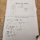 부평 고양이 펫시터 30분 홈케어 후기 with 터키쉬앙고라,코니시렉스+스코티쉬폴드 백설,꼬맹,마음,콩이...