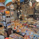 백조민박 이미지