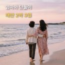 꽃 보러 떠나는 세계여행(2) | 엄마와 단둘이, 태안 2박 3일 여행 계획 (태안 튤립축제까지)