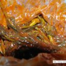 곤이농장 이미지