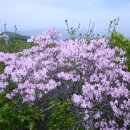 보답 행정사 이미지