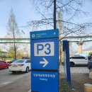 맥도생태공원(구포대교 밑 대저생태공원 관리사무소 앞) | 부산 3월 4월 가볼만한곳 부산 피크닉 봄소풍 벚꽃 유채꽃명소 대저생태공원 자전거대여