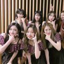 플틴 Daum카페
