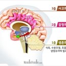 중년층과 노년층 인지 기능(치매 예방) 올라가는 취미 활동 이미지