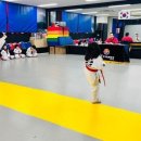 준 태권도장 이미지