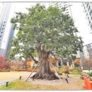 서초프라임공인중개사사무소 이미지