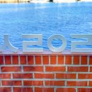 시랑이랑 이미지