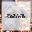 준치과의원 이미지