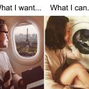 스테이 사이 이미지