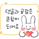 경기도 수원시 팔달구 장다리로195번길 이미지