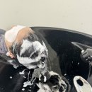뮤토헤어 - 남동구 논현고잔로 208-1 | 뮤토헤어