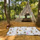 숲속성광유치원 이미지