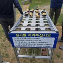 그늘집 | 구미 선산파크골프장 공식구장 라운드 후기 최상급 잔디 상태와 입장료