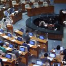 조이의원 뉴스1