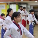 경희대정우태권도장 네이버블로그